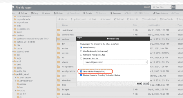 File manager show hidden files